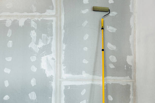 Best Drywall Texturing  in Celina, TN